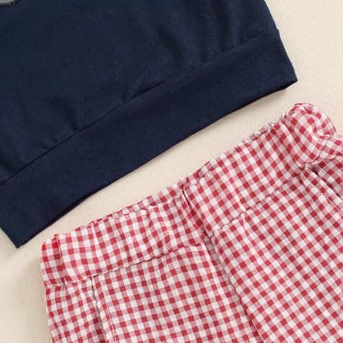 Toddler Baby Boys Clothes Fire Truck Embroidery Long Sleeve Sweatshirt Plaid Pants Set 2Pcs Fall Winter Outfits4