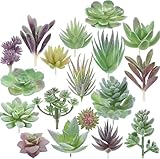 AOCGDDS Artificial Succulents,Double Flocked - Realistic Textured Cactus,Faux Succulents Mini Fake Succulent for Indoor Outdoor Bedroom Bathroom Decorations(18 Pcs)