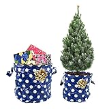 Present Time Set van 2 pot of mand kerstgeschenken