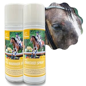 EHBO-set voor paarden, zilverspray + zinkspray, wondspray voor honden, zilveren spray wondgenezing, wondverzorging wonddesinfectie, spuitpleister voor honden, 2 x 250 ml, 200 ml
