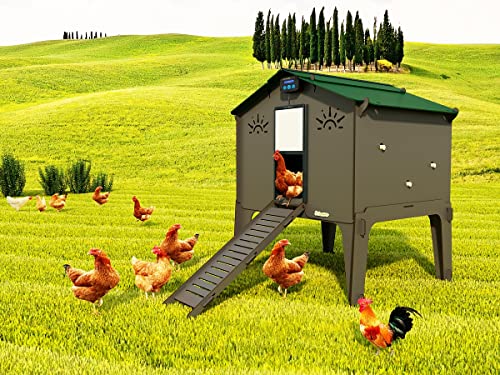 Erhöhter Hühnerstall mit Leiter für 15 Hühner Legehennen PolLY DUPLEX 2XL Grau mit 3 Sitzstangen 2 Sitzplätzen Außentür… – Bild 4