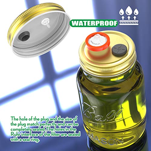 6Pcs Regular Mouth Mushroom Liquid Culture Lid Grain Spawn Cultivation Mason Jar Lid With 0.2 Micron Ptfe Syringe Filter & 20Mm Self Healing Injection Ports For Mushroom Growing Mycology #TOP5