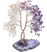 mookaitedecor Natural Amethyst & Citrine Crystal Tree with Amethyst Cluster Base, Money Tree of L...