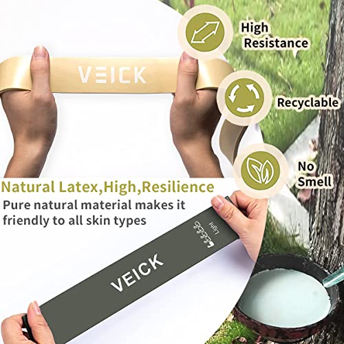 Image of VEICK Pull Up Resistance Bands Set, Heavy Stretch Workout Bands, Fitness Assistance Bands for Men Women, Portable Exercise Equipment for Home Gym Office Travel