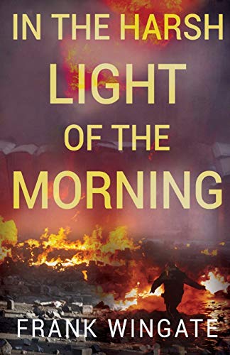In the Harsh Light of the Morning Paperback – 28 Jan. 2021