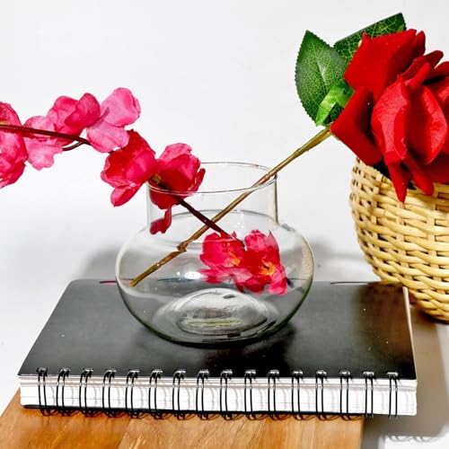 Image of Aradhya Enterprises Glass Vase for Bamboo Plant, Money Plant, Flower Vase, Candy Jar (Pack 2)
