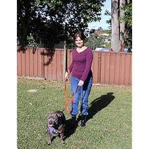 Dog Leash 6ft long,Traffic Padded Two Handle,Heavy Duty,Reflective Double Handles Lead for Control Safety Training,Leashes for Large Dogs or Medium Dogs,Dual Handles Leads(Orange)