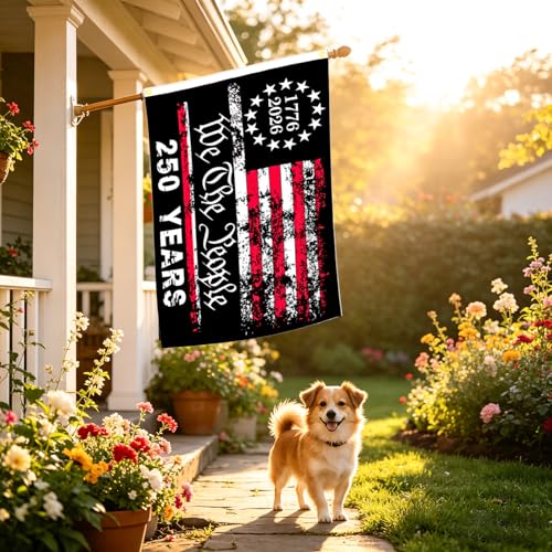 https://m.media-amazon.com/images/I/514gaPXG3oL.jpg