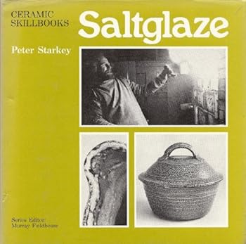 Hardcover Saltglaze (Ceramic skillbooks) Book