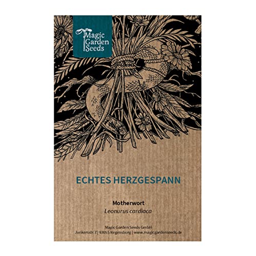 Echtes Herzgespann (Leonurus cardiaca) - ca. 100 Samen mehrjährige Staude Wildblume alte Heilpflanze gute Bienenweide