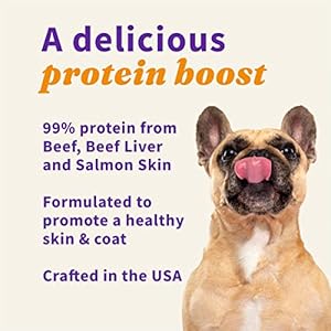 Halo freeze dried uncooked pores and skin  coat topper beef and salmon pores and skin recipe uncooked actual meat topper all life phases 1lb bag   cucciolini doodles