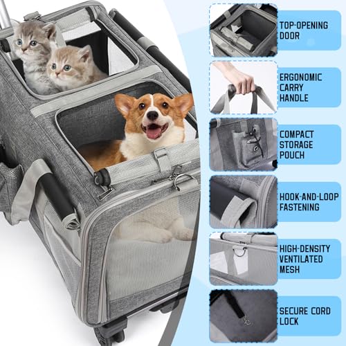 Extra große Haustiertrage mit Zwei Fächern und Rollen für Katze/Hund, Abnehmbarer Faltbar Katzentransportbox für 2 Katzen bis 20kg, Belüftetes Katzen Kucksack Groß für Reisen/Wandern/Camping