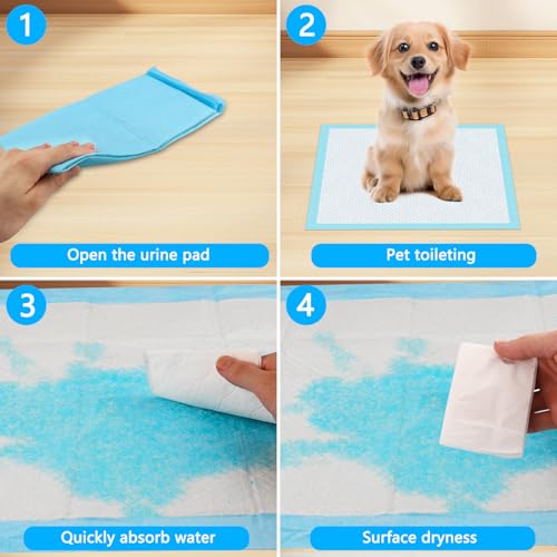 Foymlon 100 Stück Welpen Unterlagen, 33 x 45 cm PIPI Matten für Hunde, Puppy Pads mit 6 Schichten Design, Schnell Trocknen und Feuchtigkeit Absorbieren, Geeignet für Hunde, Katzen und Schweine