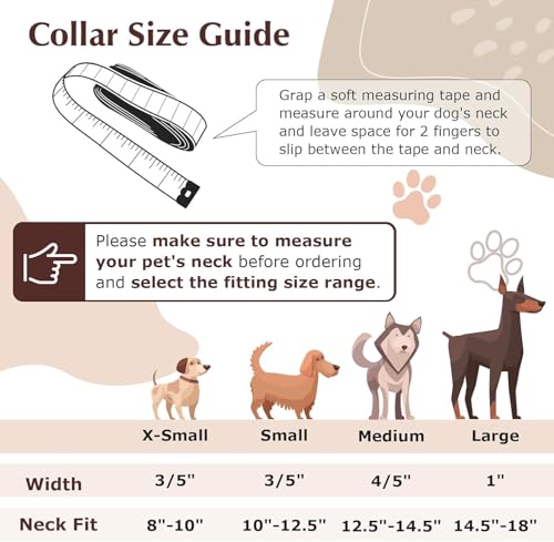 Collier avec strass pour chiens de petite taille chat noir L - 8