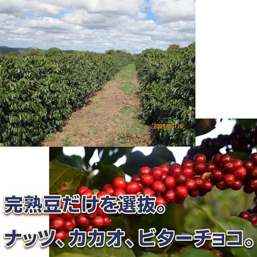 せとしおまち珈琲 中深煎り ブラジル 200g