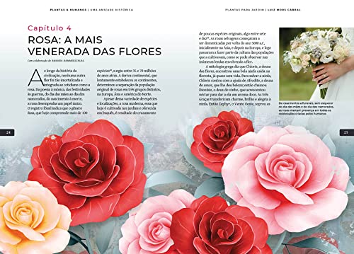 Plantas & Humanos, uma Amizade Histórica: Plantas para Jardim