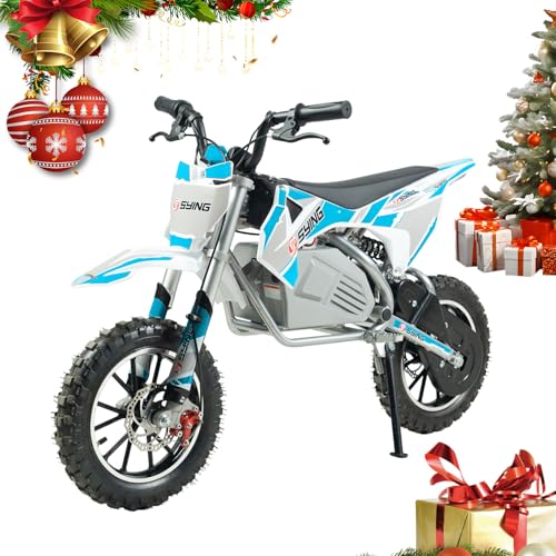 SYING 500W Off-Road Dirt Bike