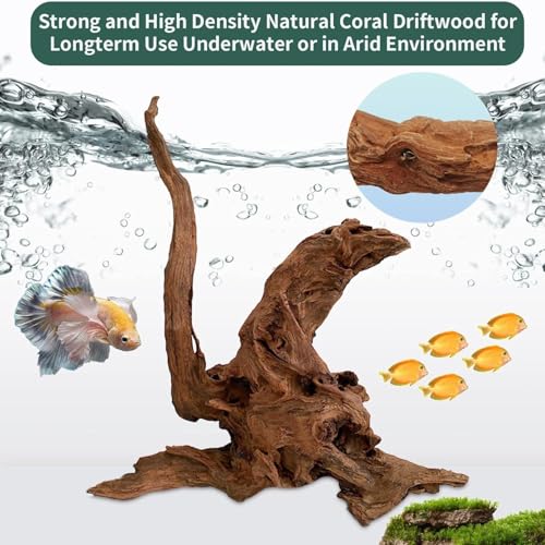 Image of Hamiledyi Natural Large Driftwood for Aquarium 12-18 Inch Driftwood Branches Fish Tank Decoration Reptile Toy Assorted Size Reptile Habitat Decor Wood for Lizad (1 Pack)
