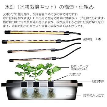 Amazon｜水耕栽培キット LED付き水畑 白のLED4本タイプ ハイドロ