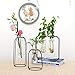 Ivolador Modern Tabletop Metal Frame Test Tube Vase Planter Terrariums Metal Stand with 2 Test Tube Perfect for Propagating Hydroponic Plants Home Garden Wedding Decoration (Black)