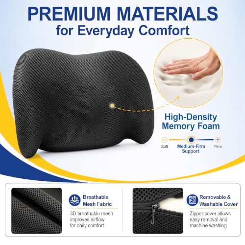 Lumbar Pillow with Washable 4D Mesh