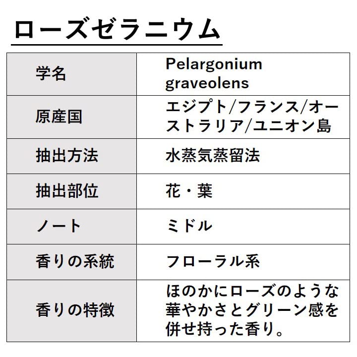 Amazon.co.jp: ASH ローズゼラニウムエッセンシャルオイル100ml