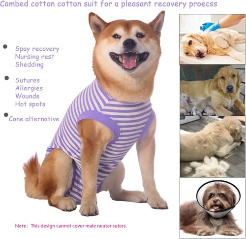 Image of Dog Surgery Recovery Suit Dogs Neuter Spay Female Male Protective Clothes,XXL Purple-White Striped