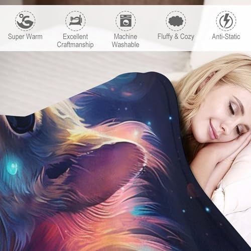 Colcha de franela estampada 3D para cama y manta de sofá suave 6