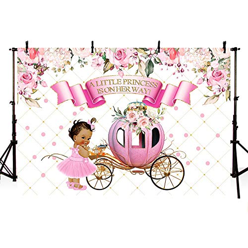 MEHOFOTO Little Princess Baby Shower Pink Floral Photo Studio Booth Background Girl Vintage Retro Carriage Royal Celebration