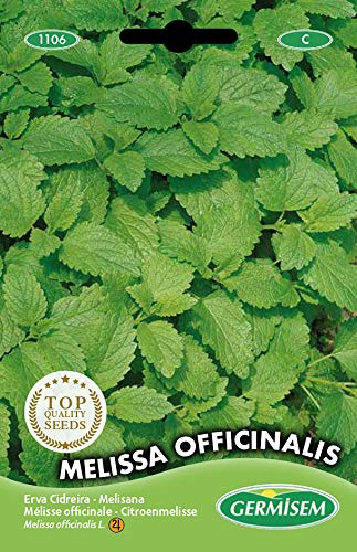 Germisem Melissa Officinalis Semillas de Bálsamo de Limón 1 g, EC1106