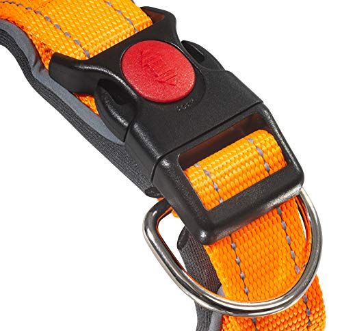 Dog Control Halsband mit integrierter Kurzleine (L - Halsumfang 45-53 cm, orange)