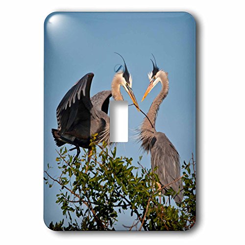Florida Blue Heron graphisme haute définition pour habillage mural original