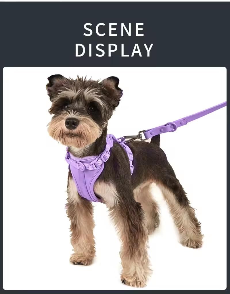 Waterproof 4-Pieces Sets Collar Pet Leash Garbage Distributor Vest Type Adjustable Chest Strap,Dogs Harness+Collar+Leashes+Bags for Small Medium and Large Dogs Outing Walking,Training. (Pink, M)
