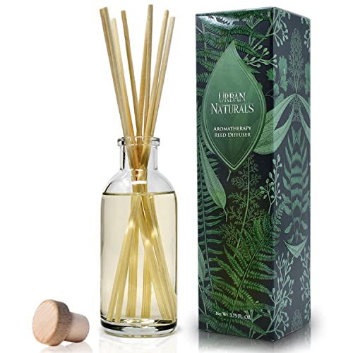 Difusor de varillas Vanilla Lime Urban Naturals 4 oz miniatura 2