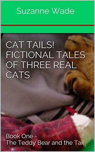 tails & tales teddy bear