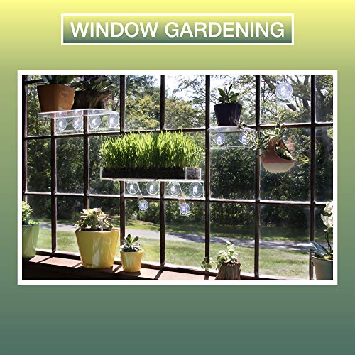 Window Garden Multi-Use Acrylic Planter Tray + Fiber Soil + Sprayer = Gorgeous Succulent, Dish and Herb Gardens | Grow Microgreens, Wheatgrass Seed | Centerpiece | Drip Tray | Fairy Gardens (2 Pack).