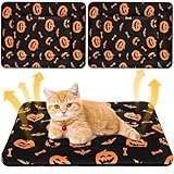 Clysee 2 Pack Halloween Self Warming Cat Bed Self Heating Cozy Pumpkin Pet Pad for Indoor Cats Reversible Soft Plush Pet Mat Machine Washable for Small Dogs Spooky Fall Halloween Decor