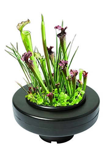 Superfish schwimmender Pflanzenkorb - d 30cm