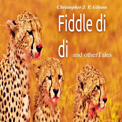 『Fiddle Di Di: And Other Tales』のカバーアート