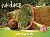 Die Narzisse