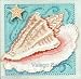 Conch Shell - Cross Stitch Kit