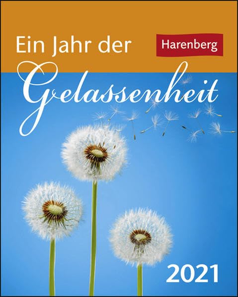 Ein Jahr der Gelassenheit Mini-Geschenkkalender 2021 - Tagesabreißkalender zum Aufstellen - Tischkalender mit Zitaten, Aphorismen und Sprichwörtern - Format 8 x 10 cm