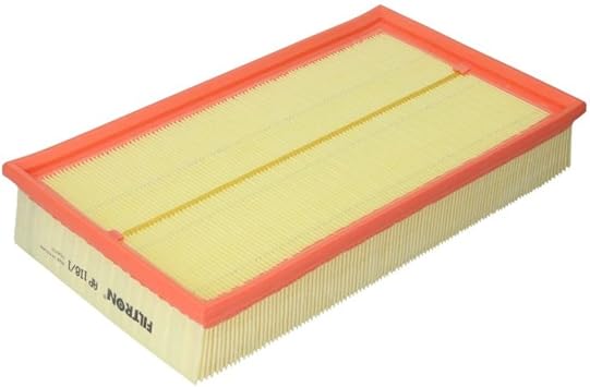 Filtron AP118/1 Air Filter
