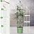 Anothera Garden Trellis for Climbing Plants 6ft Outdoor Tower Obelisk Garden Trellis Tall Potted Plants Support Flowers ?White?