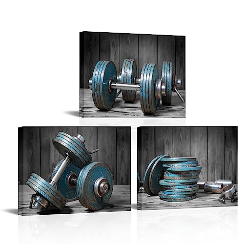Artmyharbor Dumbbells Canvas Print Sport Wall Art Weightlifting Poster Workout Room Art Fitness Painting