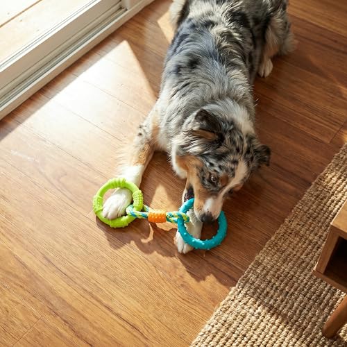 Pupstages Dental Links Dog Chew Toy for Teething Puppies & Small Dogs up to 30 lbs, Floatable & Textured Ring & Rope Tug, Dental Support, Moderate Chewers, 8.5"