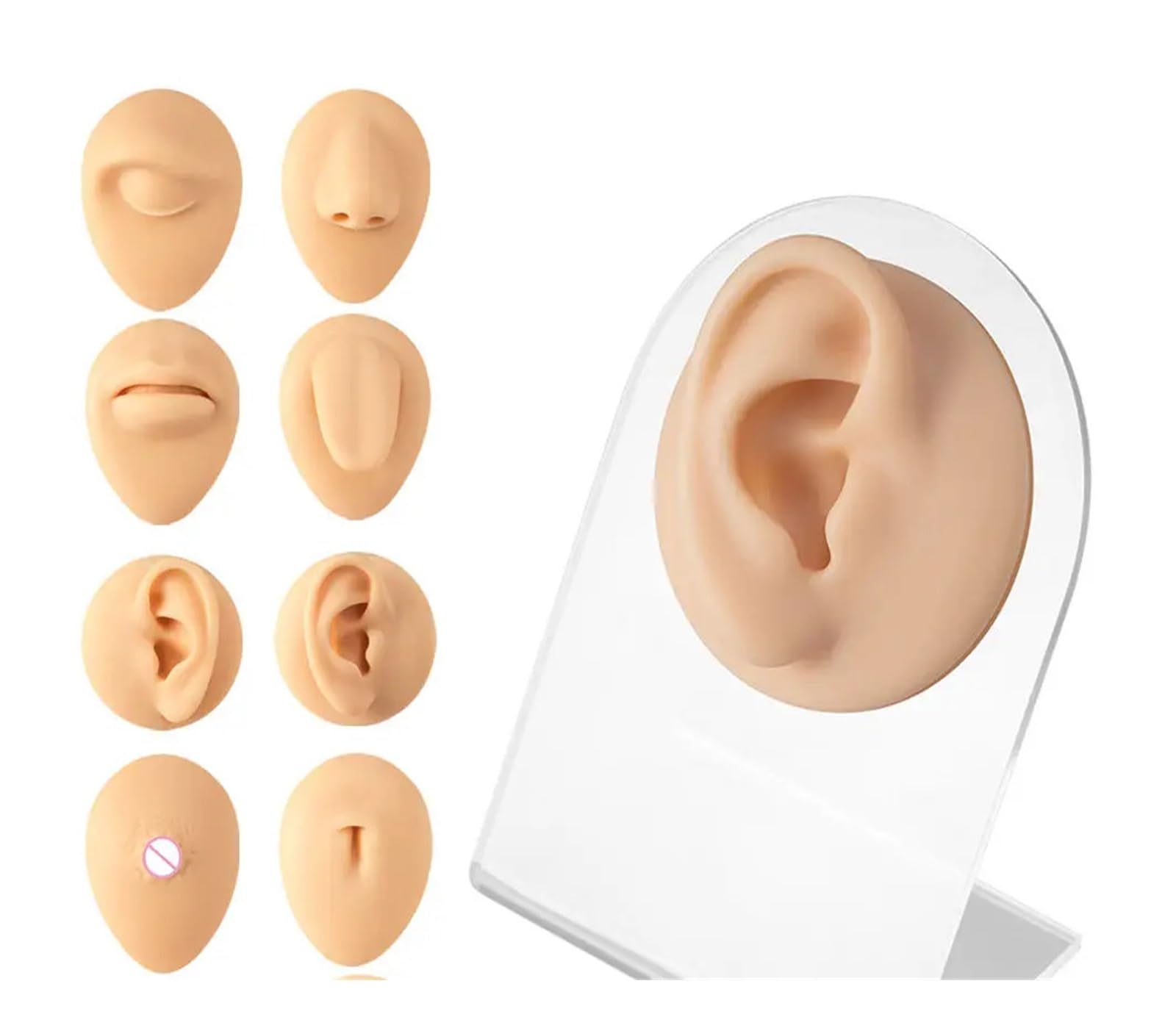 Symulacja Praktyki Nakłuwania Silikonowy Ucho, Nos, Warga, Pępek, Piercing Brwi Model Z Akrylowym Stojakiem(Right Ear)