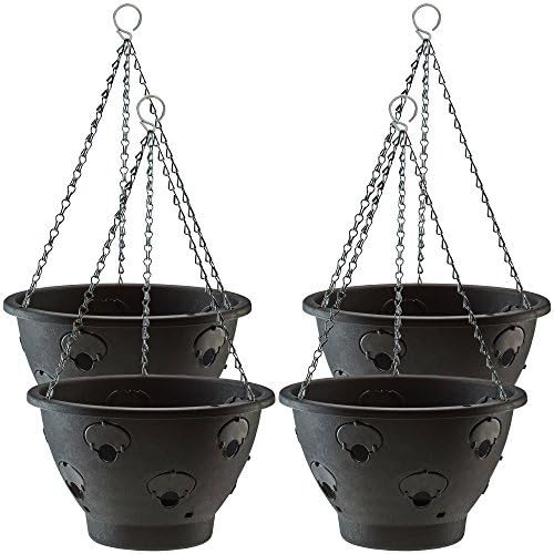 Hanging Basket Outdoor Garden Planter Plant Container with Water Reservoir for Flowers, Vegetables and Fruits by Thompson & Morgan (30cm , 4 Pack)