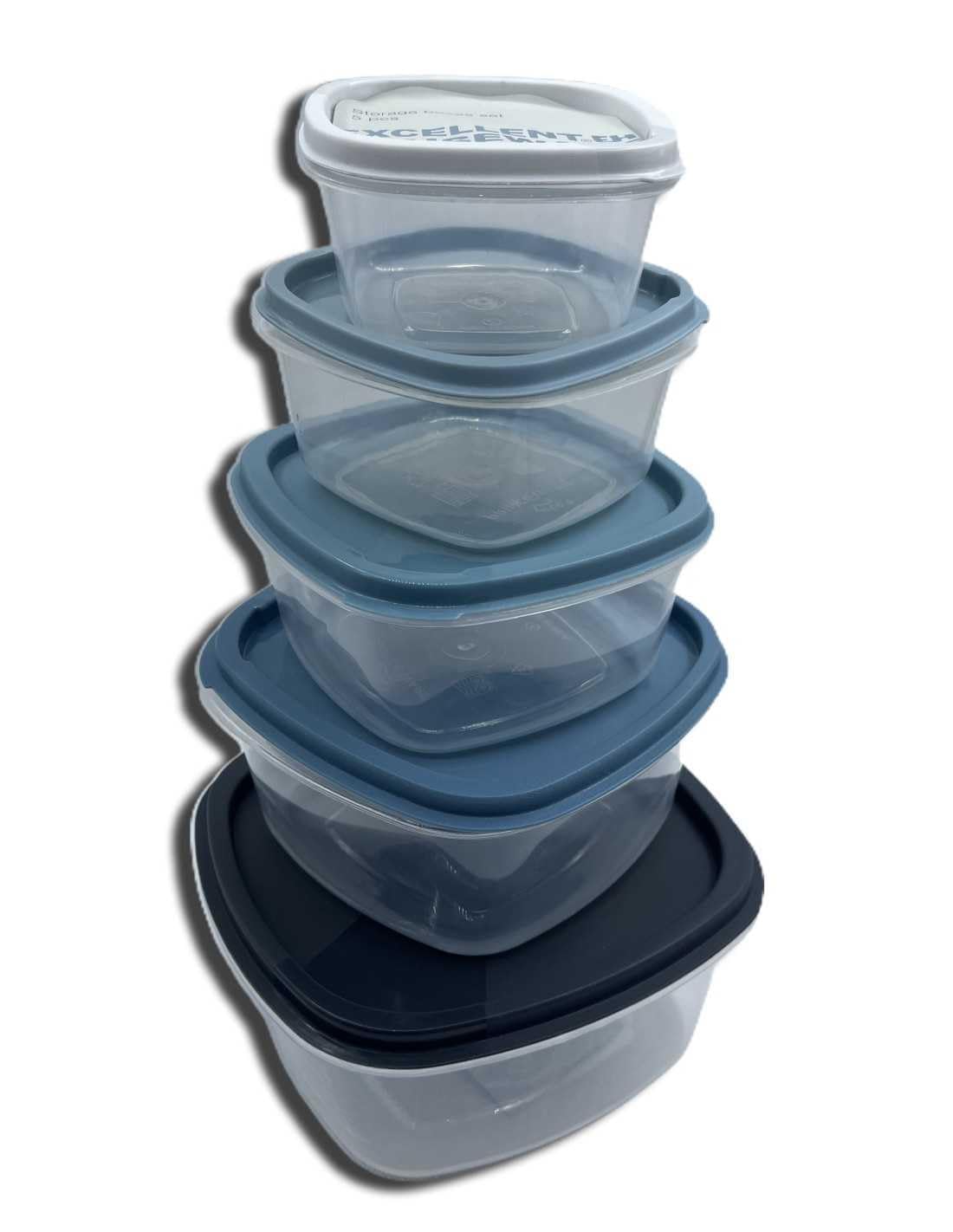 Juzr Excellent Houseware Food Storage Box | Set of 5 | Refrigerator Storage, Vegetables and Fruits Food Storage Box With Silicone Lid | Multicolor