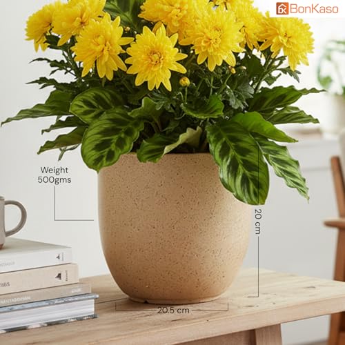 Image of BonKaso 8 Inch Jaguar Round Plant Pots | Highly Durable & Lightweight Polymer Planter for Indoor & Outdoor Use | Flower Pot (Gamla /Gamale) for Home, Office, Garden, Living Room & Balcony (Beige)
